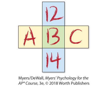 An illustration shows 5 blocks joined together in a cross-like manner.