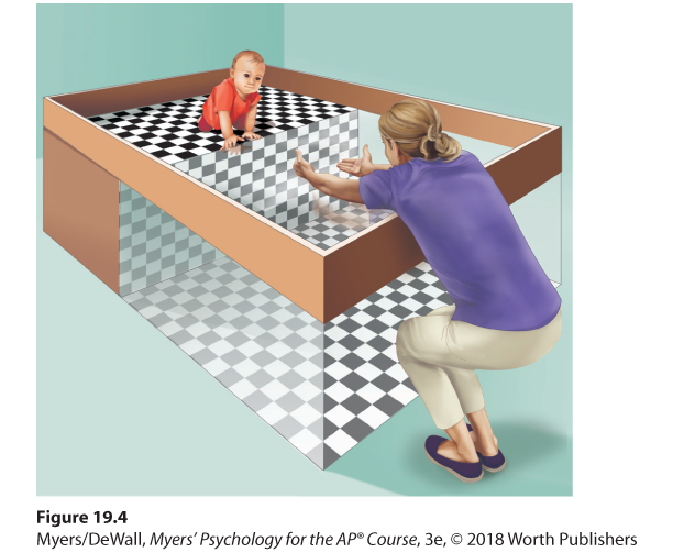 Image illustrating the visual cliff experiment. A baby is on all fours standing at the edge of the simulated glass cliff and there is an adult on the other side, reaching out to the child.