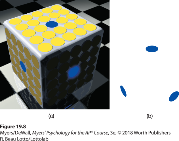 Part (a) of Figure 19.6. Image illustrating how color depends on context. The image shows a cube with yellow disks. Part (b) of Figure 19.6. The image shows the three blue disks isolated from the cube.