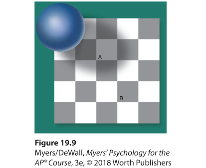 Image illustrating relative luminance. The image shows a checkered square and a blue ball.