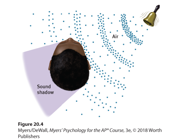 Diagram illustrating how we locate sounds.