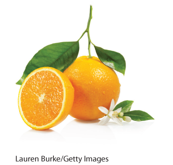 A photo shows an orange with leaves and flower.