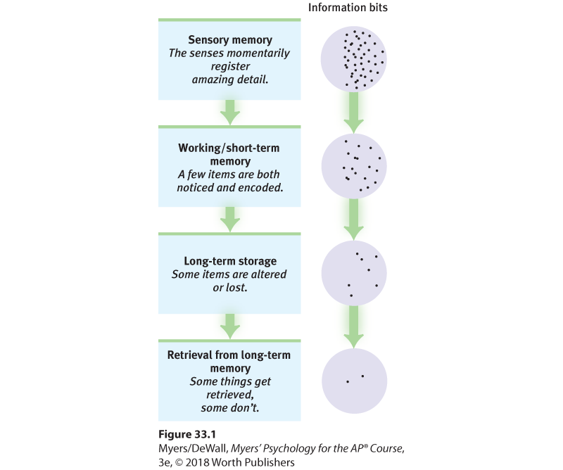 This image is a flow chart, with attached illustrations.