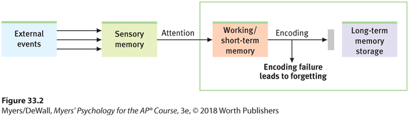 This image is a flow chart.