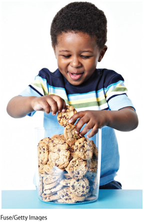 This image is a photograph of a boy taking cookies out of a jar.