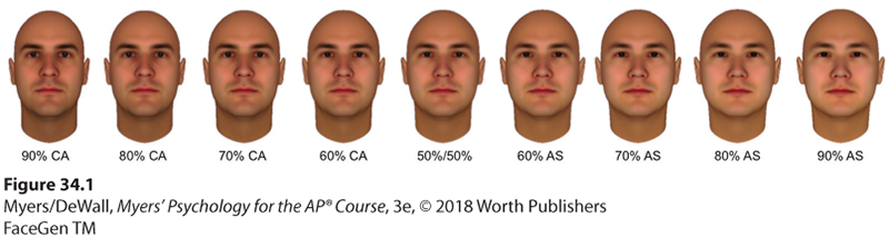 An illustration shows categorizing faces influences recollection.