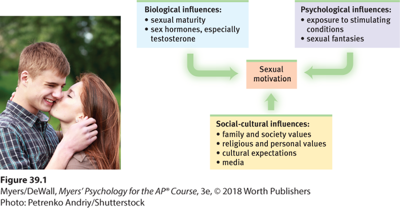 This image is a photograph of a young man and a young woman. The woman is kissing the man affectionately on the face. This image is a chart.