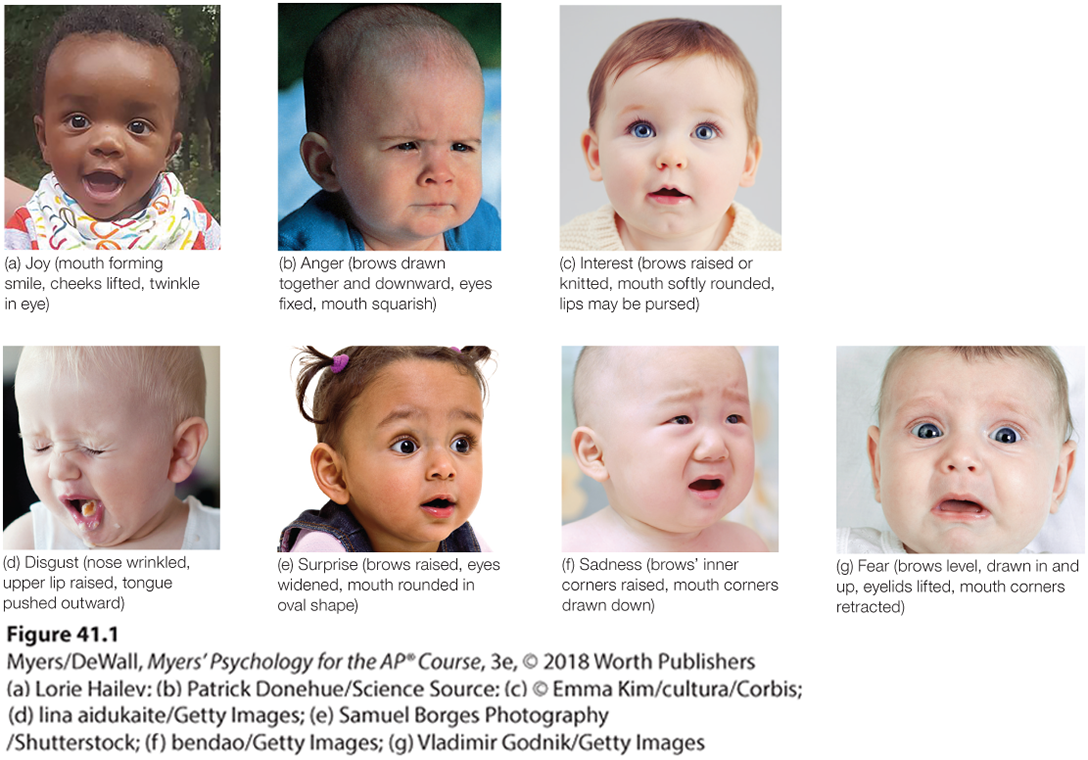 Seven photos show some naturally occurring infant emotions.