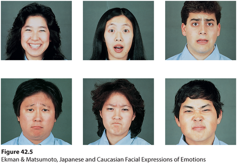 Six photographs showing facial expressions. The people photographed are from different cultures.