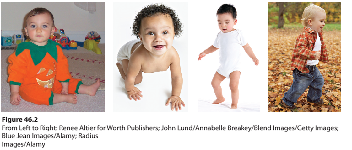 Photograph of a toddler in a pumpkin costume sitting up. Photograph of a toddler in diapers crawling. Photograph of a toddler in pajamas walking. Photograph of a toddler in jeans and a shirt running.