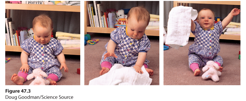 Photograph of a toddler looking at a stuffed animal on the ground. There is a bookshelf behind him. There are toys on the floor. The stuffed animal is a pink dog. The toddler is reaching towards the blanket covering the stuffed animal. The toddler has lifted the blanket and is holding it up. The toy is on the floor in front of the toddler again as the toddler holds up the blanket triumphantly.