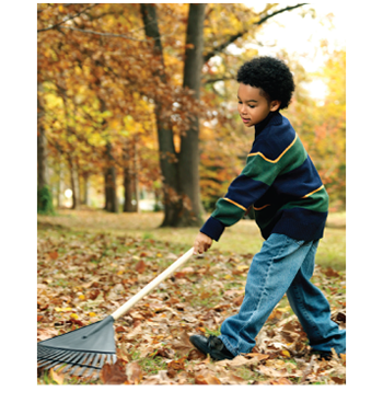 This image is a photograph of a young boy raking leaves. This image is a photograph of a young woman kissing a young man on the cheek.