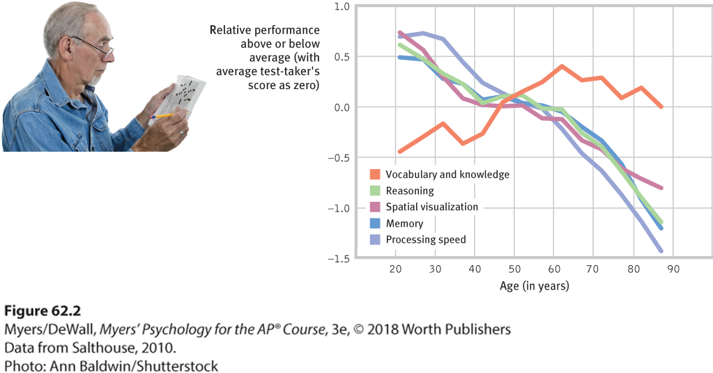 This line graph compares average performance per age based in five areas: vocabulary knowledge, reasoning, spatial visualization, memory, and speed.