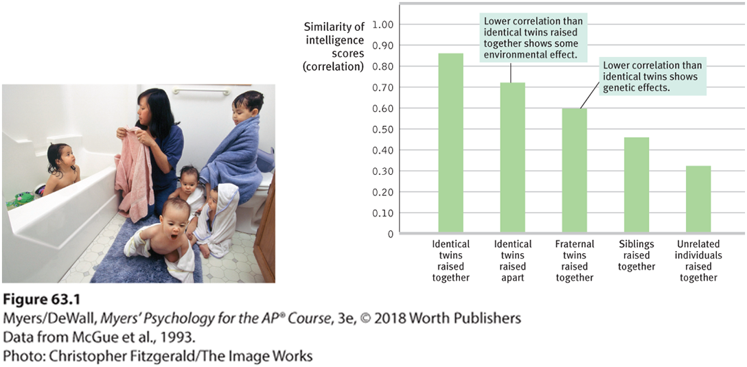 This picture shows a mother bathing her five small children who appear to be quintuplets. This is a bar graph that compares the IQ scores of twins to illustrate the impact of nurture vs. nature.