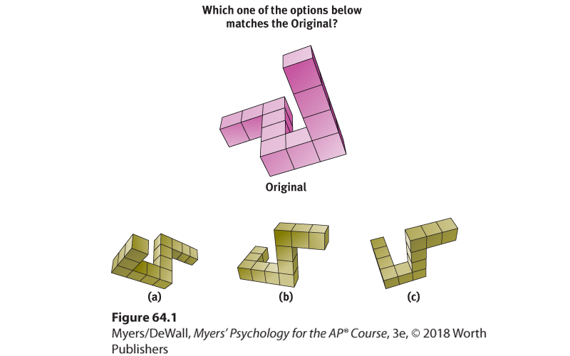 An illustration shows an example of spatial abilities test. An illustration shows rotated blocks (original) that need to be matched with three given options a, b, and c.