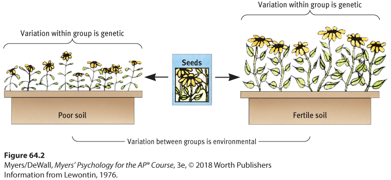 This is a diagram to illustrate the environmental impact on growth.