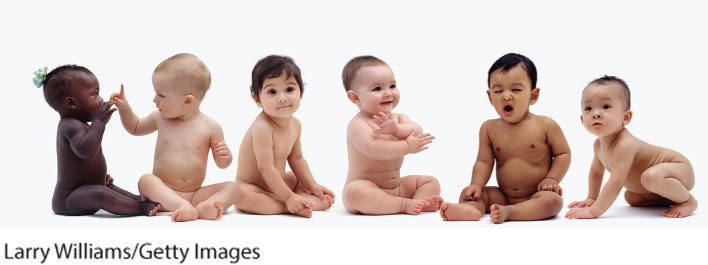 This is a row of infants of different races and ethnicities.