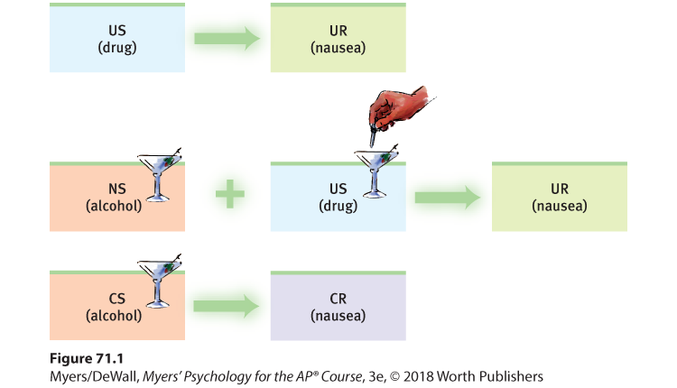 This image shows three short flow-charts.