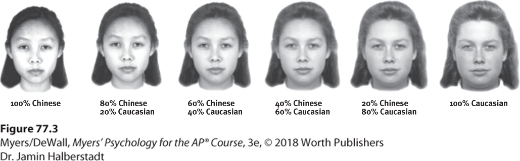 Six photographs of mixed-race women by percentage of Chinese and Caucasian ethnicity.