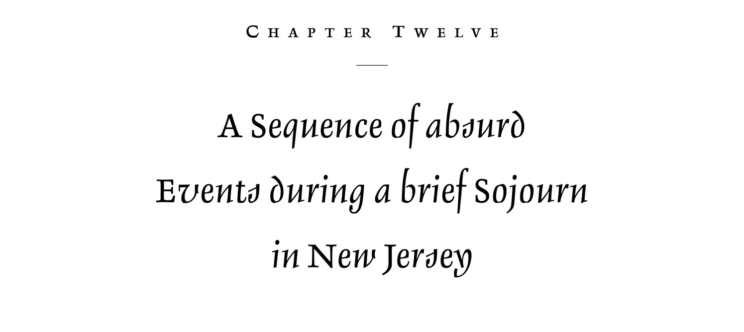 Chapter Twelve A Sequence of absurd Events during a brief Sojourn in New Jersey