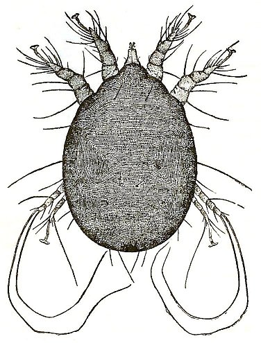 FIG. 11