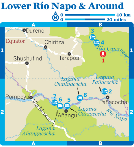 15-lwr-rio-napo-around-ecu11jpg