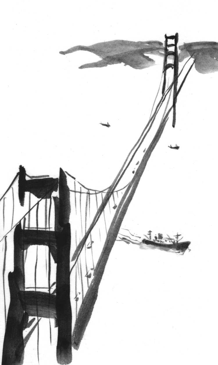 stiches_009_bridge.tif