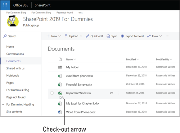 Screenshot of the SharePoint window displaying the “Important Work” Excel file that  is checked out indicated by an arrow.