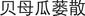 B9780702031328000153/if5.jpg