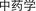 B9780702031328000281/if7.jpg