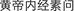 B9780702031328000281/if11.jpg