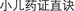 B9780702031328000281/if21.jpg