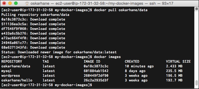 Publishing on the Docker Registry Hub