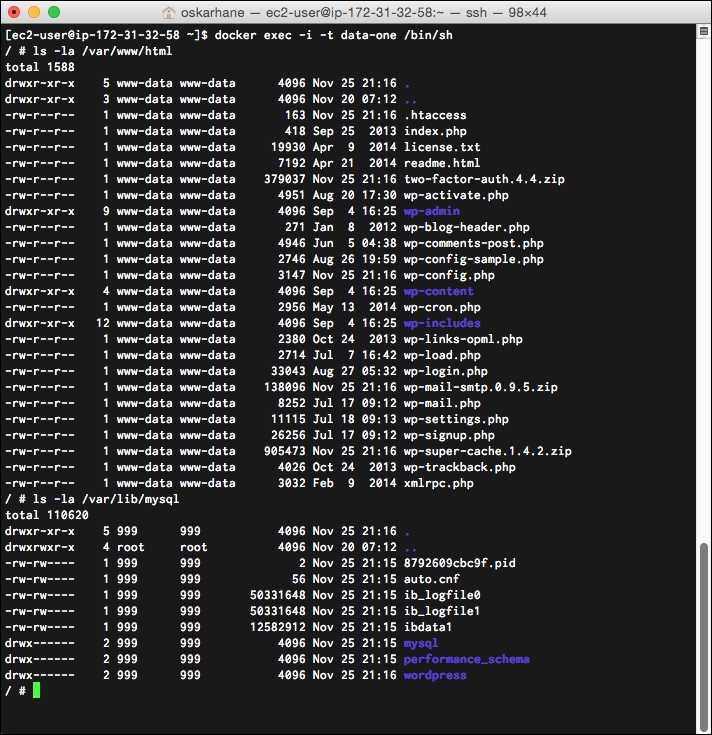 Exploring the contents of a data volume container