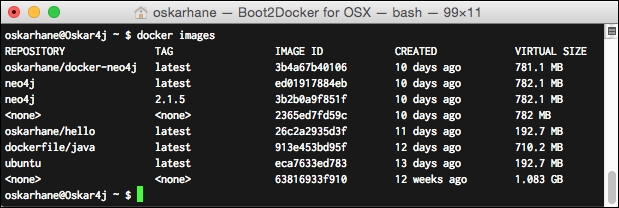 The Docker image