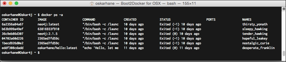 The Docker container