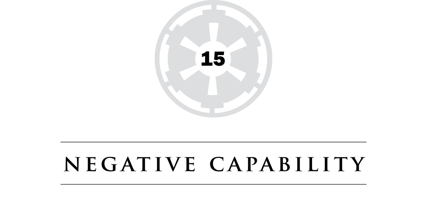 15 Negative Capability