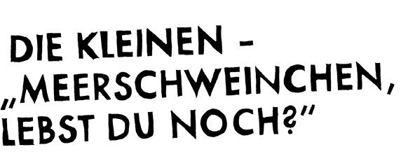 meerschweinchen.psd