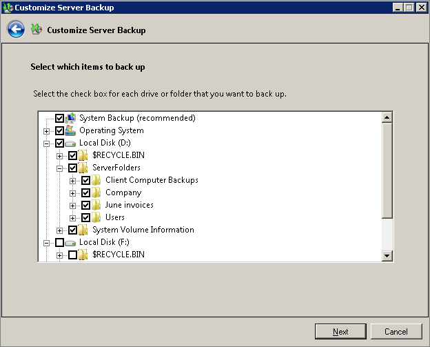 The Select Which Items To Back Up page of the Customize Server Backup Wizard.