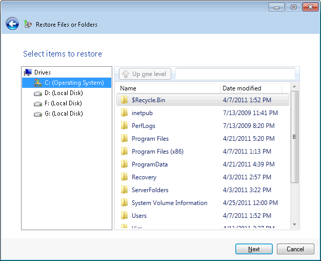 Selecting files or folders to restore.