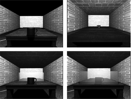 Figure 10.1 Exemplar of 3D stimuli used in Costantini et al 2010. Participants were instructed to perform a reach-to-grasp movement as soon as the go stimulus appeared. A spatial alignment effect was observed only when the object represented in the go stimulus was located in the reachable space of the participants.