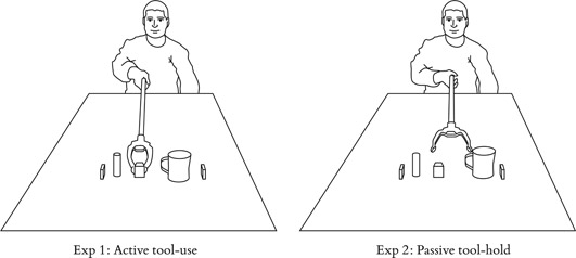 Figure 10.2 Schematic representation of the training phase used in testing spatial alignment effect.