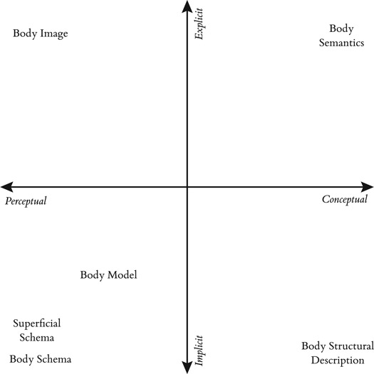 Figure 6.1 A speculative model of the relations between body representations.