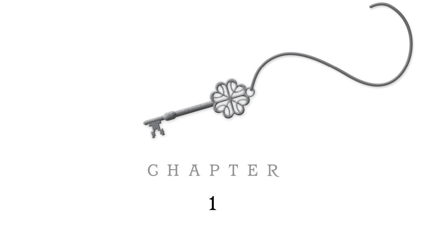 Chapter 1