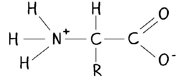 main-13