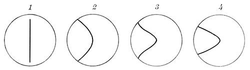 Fig. 83.—Effect of the sun's peculiar rotation in warping a meridian, originally straight.