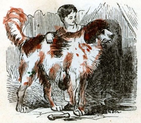 boy and dog