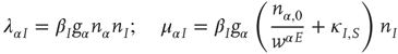 equation