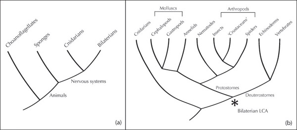 Figure 20.1