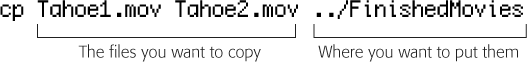 The first argument of this command lists two different files. The final clause indicates where they go.